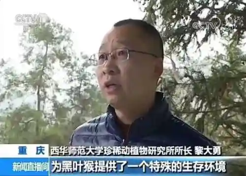 洛克王国朝天蟹捕捉时间(洛克王国梦想兽几点出现)插图7