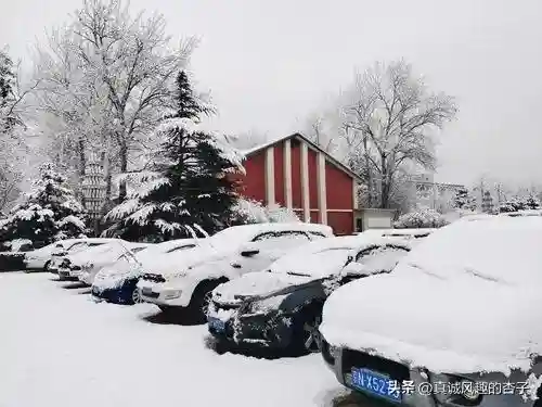 大雪防御阵容怎么搭配(塔塔守卫战阵容搭配)插图1