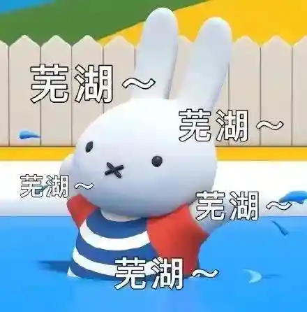偷心盗贼搭配阵容推荐图片(偷心盗贼是什么意思)插图1