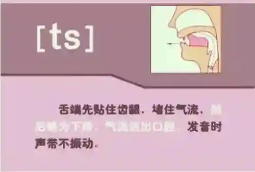 英语音标发音表(48个音标大全表图片)插图46