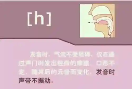 英语音标发音表(48个音标大全表图片)插图38
