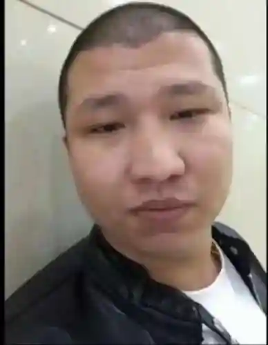 养龙收割阵容怎么搭配(口袋暴龙最强阵容)插图1