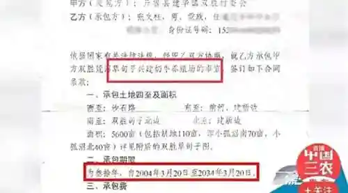 2021最新卫星地图(手机实景卫星地图)