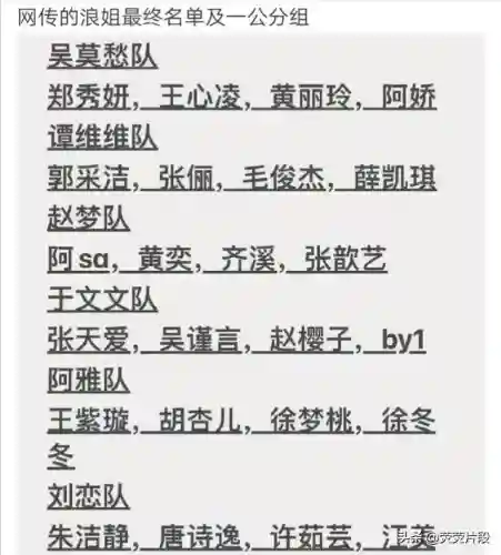 浪姐各季阵容搭配(浪姐4最终阵容)插图5