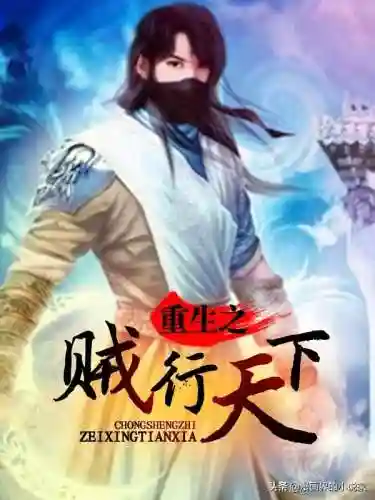 网游之重生盗贼(网游重生之贼行天下笔趣阁)插图2