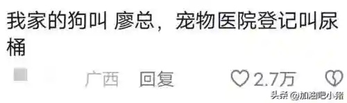 猫咪最新永久地域网名(猫咪的最新网名自动跳转)插图10 猫咪最新永久地域网名(猫咪的最新网名自动跳转)插图10