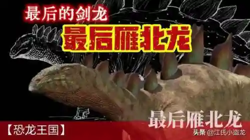 中国最后一只恐龙(中国拍到活的霸王龙)