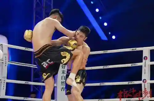 巅峰之夜阵容搭配攻略(巅峰竞技场阵容搭配)插图1