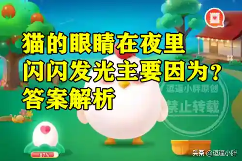 猫的眼睛蚂蚁庄园(蚂蚁庄园的答案今天)插图2