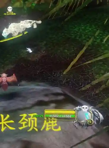洛卡纳哈多久刷一次(洛卡纳哈刷新率最高的坐标)插图2