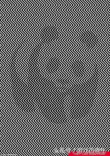 谜画之塔2奖励关卡(谜画之塔安卓版下载)插图10