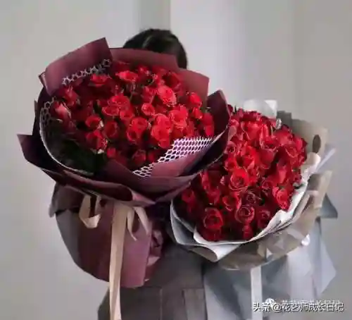 传奇红玫瑰搭配阵容图片(传奇红玫瑰花介绍)插图7