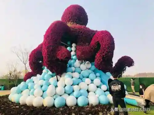 洛克王国紫藤快速获得(洛克王国紫藤150怎么弄)插图59