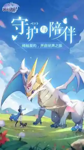 驯龙怎么搭配阵容好(小小驯龙师的无敌阵容)