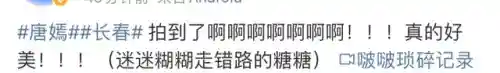 双排护卫阵容搭配(蜀盾最强阵容搭配)插图6