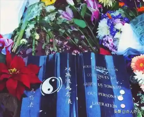 国外12小小(小俄罗斯)插图2
