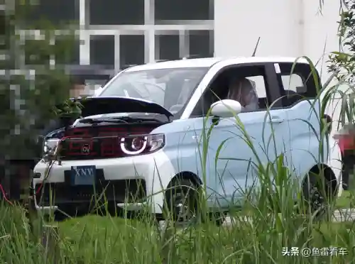 小游戏冰淇淋阵容搭配图(冰淇淋搭配什么最好吃)