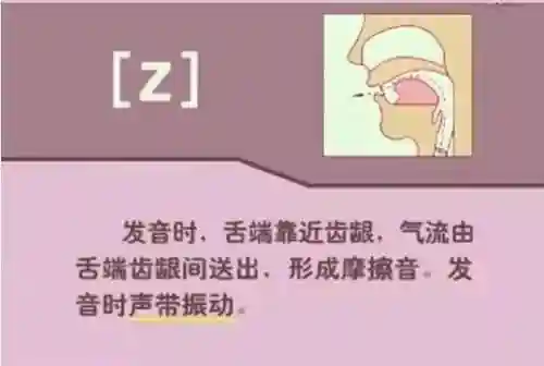 英语音标发音表(48个音标大全表图片)插图40