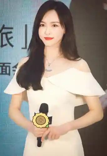 双排护卫阵容搭配(蜀盾最强阵容搭配)插图8