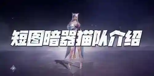 暗器猫阵容搭配详解(暗夜兵团阵容搭配)插图1
