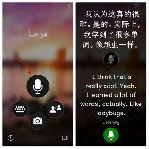 英语语音翻译软件(听音识别英语的软件)插图6 英语语音翻译软件(听音识别英语的软件)插图6