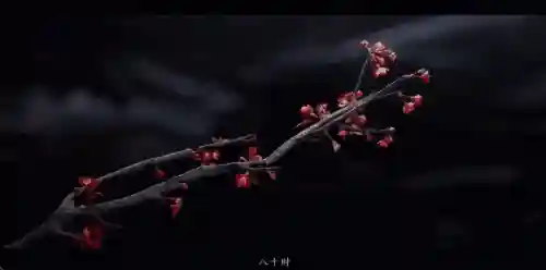 圣剑传说阵容搭配图(圣剑传说3人物加点推荐)插图2