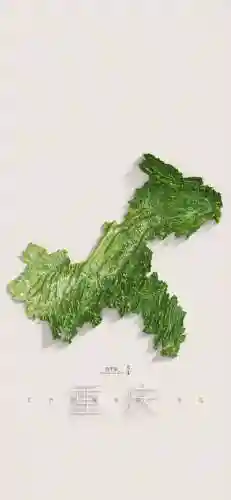 中国高清地图全图(怎么添加地图上的店铺)插图10