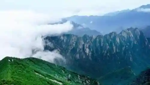 伶伦仙子阵容搭配(潮灵王国阵容搭配攻略)插图2