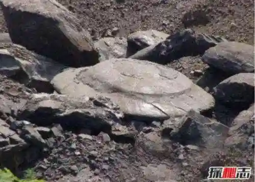 中国925异能部队(中国四大绝密部队)插图1 中国925异能部队(中国四大绝密部队)插图1