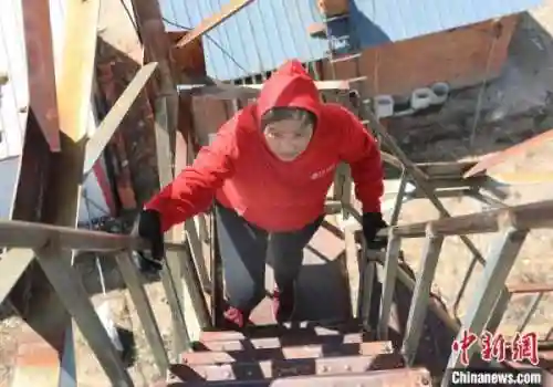 瞭望塔最强阵容搭配图(英魂之刃战略版最强阵容推荐)插图1