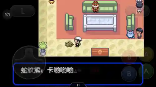 口袋妖怪绿宝石493(绿宝石493所有精灵分布)插图2