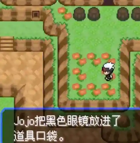 神奇宝贝究极绿宝石(究极绿宝石5.5下载安装手机版)插图44