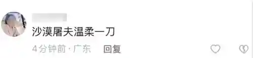 荒漠屠夫图片(你长得好像上单鳄鱼荒漠屠夫)插图5