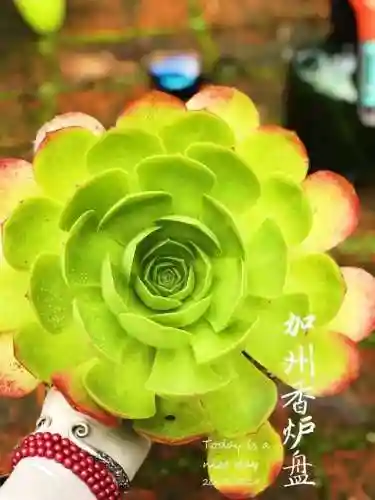 法师最牛最霸气名字(一眼就看出是玩法师的ID)插图29