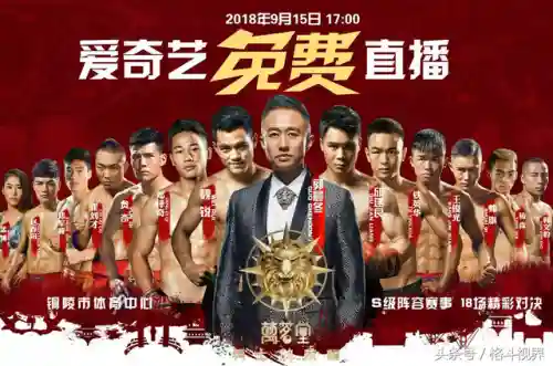 王者荣耀34号阵容搭配(433阵型怕什么阵型)