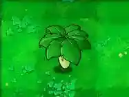植物大战僵尸游戏1(植物大战植物老版本)插图74