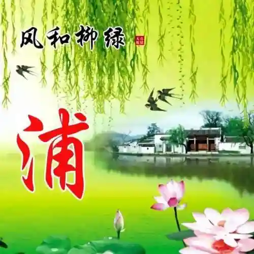 头像图片400张(2024最好运头像)插图13