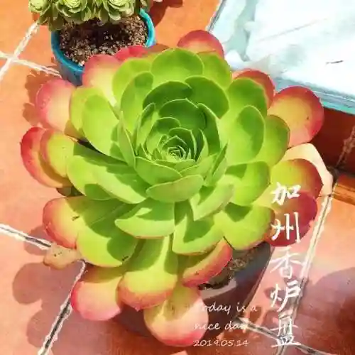 法师最牛最霸气名字(一眼就看出是玩法师的ID)插图30