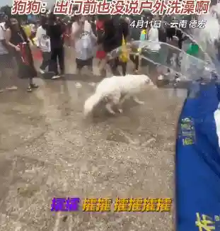 祖传水枪阵容怎么搭配最好(豪侠枪手配什么阵容装备)插图31