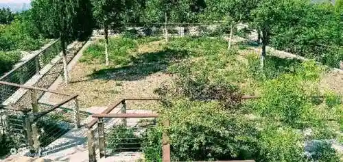 部落冲突卧虎山阵容搭配(部落冲突易守难攻的阵容)插图3