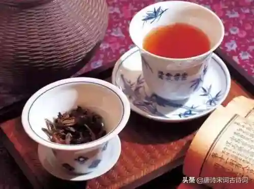 尘心受潮阵容搭配最新(尘心魂环搭配最强输出)插图1
