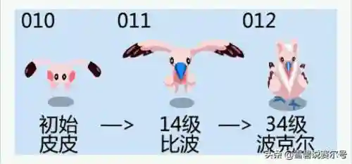 魔狮迪露打法(涅墨亚狮子卡位打法)