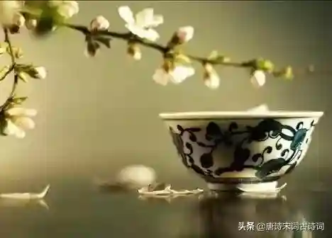 尘心受潮阵容搭配最新(尘心魂环搭配最强输出)