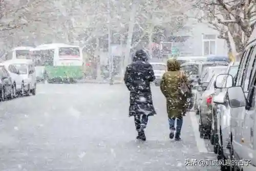 大雪防御阵容怎么搭配(塔塔守卫战阵容搭配)插图2