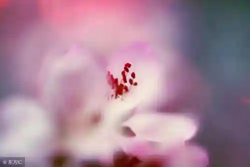 陕西烟草网上订货(全国卷烟统一订货平台)插图2