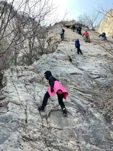 仙境游记推荐阵容搭配(歧路旅人2阵容搭配)插图25