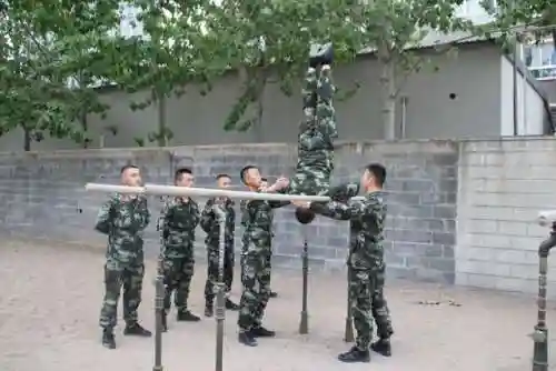 武艺夺命盾牌阵容搭配(郝昭反击盾阵容搭配推荐)插图3