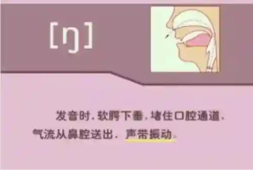 英语音标发音表(48个音标大全表图片)插图52
