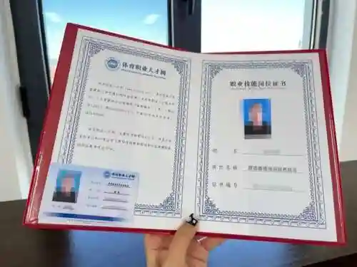 奥系新手阵容搭配(奥拉星pve最强阵容)插图2