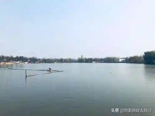 洛克王国紫藤快速获得(洛克王国紫藤150怎么弄)插图5